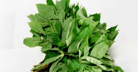 diabetes daun singkong muda