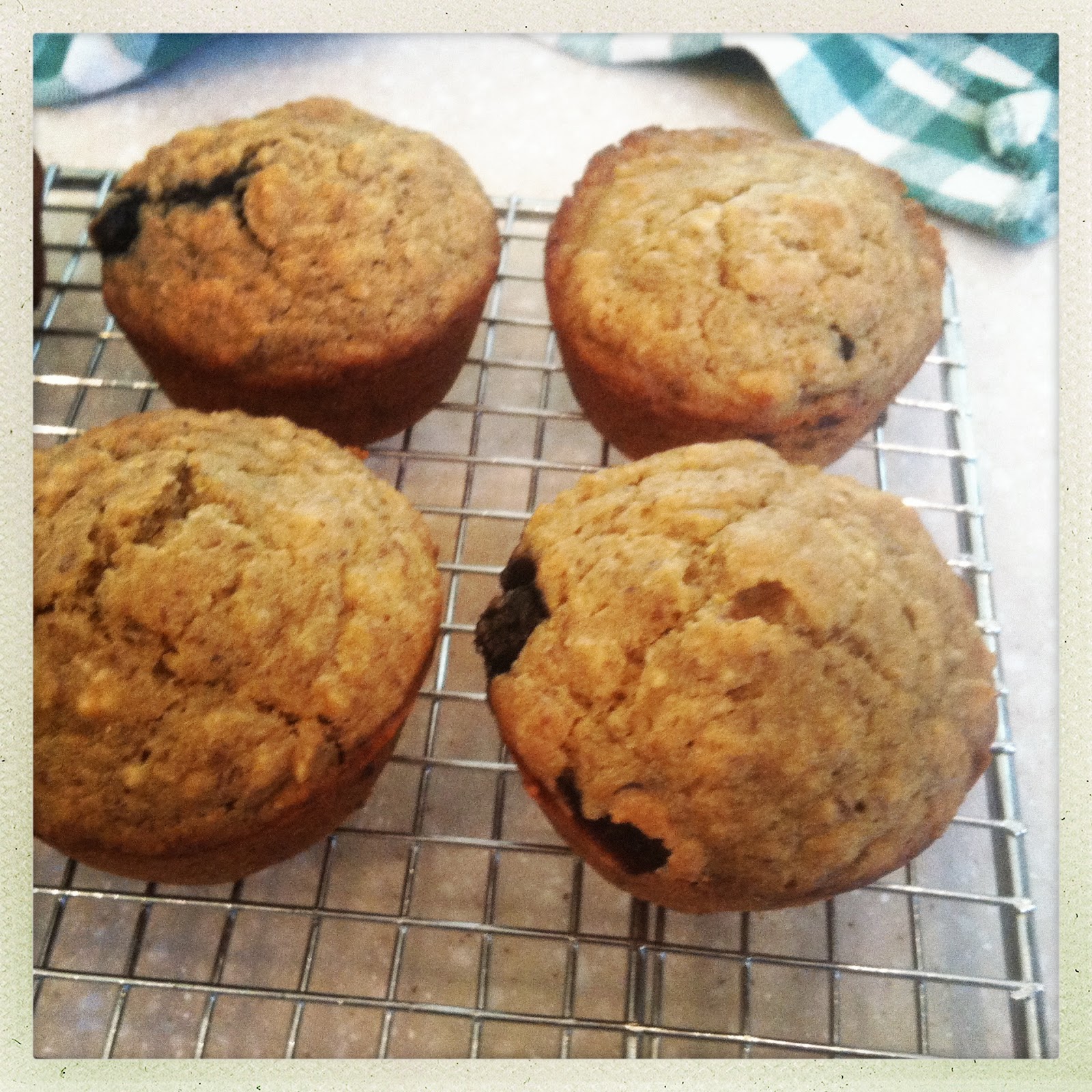 CanCan Vegan Banana Blueberry Lactation Muffins