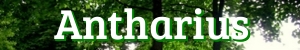 www.antharius.de