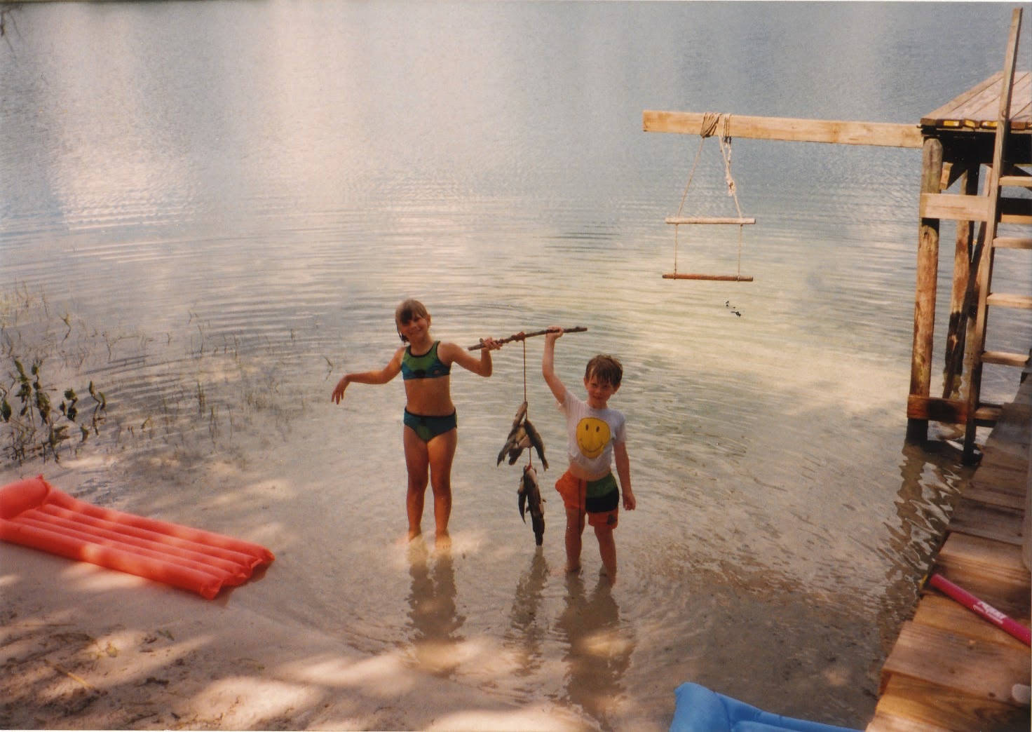 Lettuce Grow It Weston Family Farm We're Westons