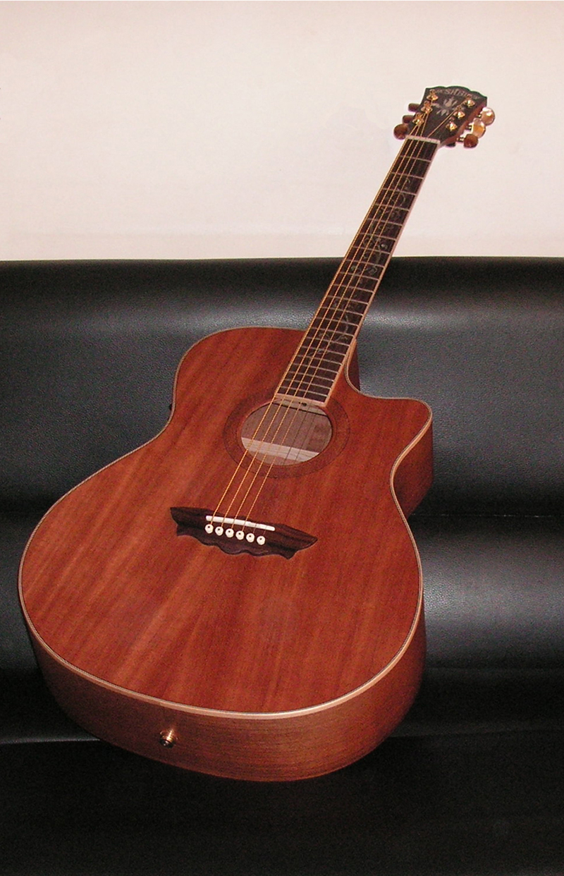 JL Recording Blog Washburn D2005SCE Limited Edition Guitar