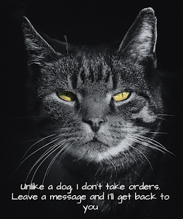 OUR BEST-SELLER -- Unlike a dog, I don't take orders.....