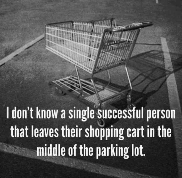The OnLine Buzzletter Why You SHOULD Return Shopping Carts to Parking Lot Corrals