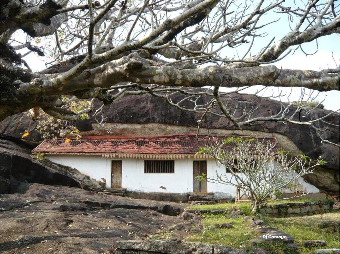 Picture3.jpg