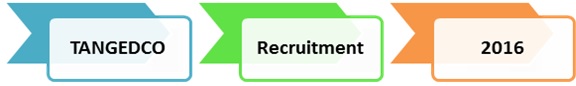 Junior Assistant, Steno-Typist, Junior Auditor Jobs at TNEB / TANGEDCO - Exam Notification published