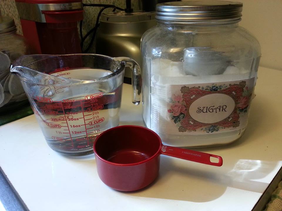 Patti's Place Make It Yourself Hummingbird Nectar