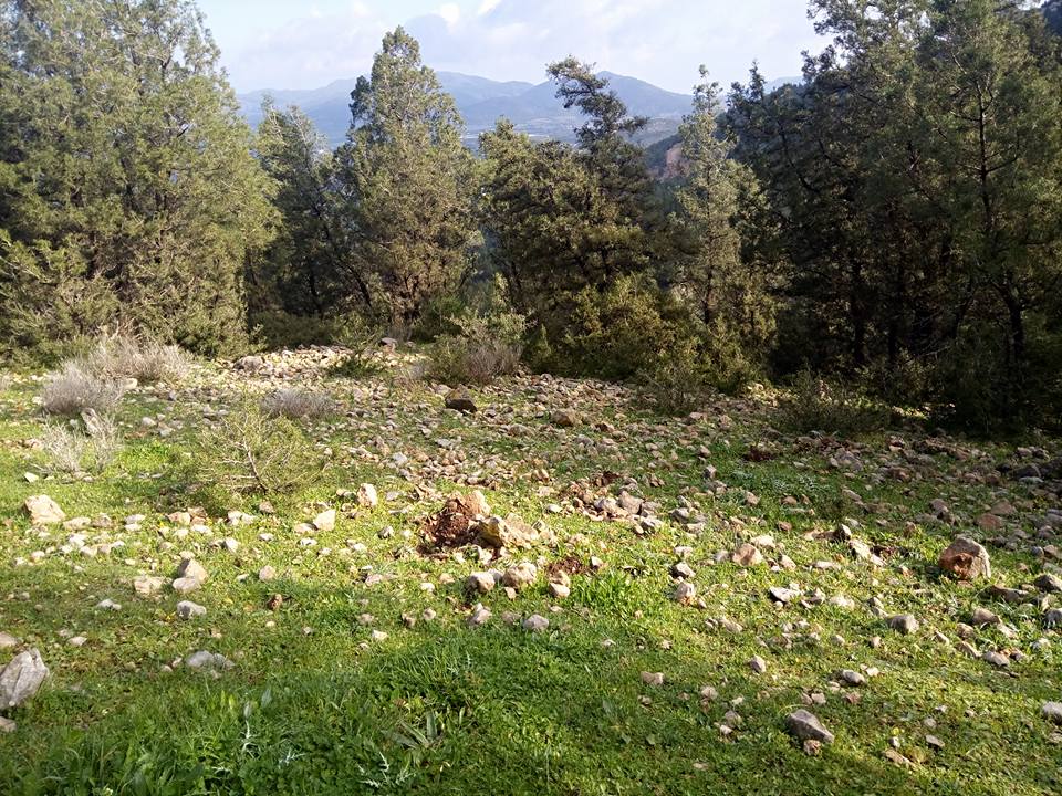 22e Randonnée Djebel Ressas Grottes + Pic