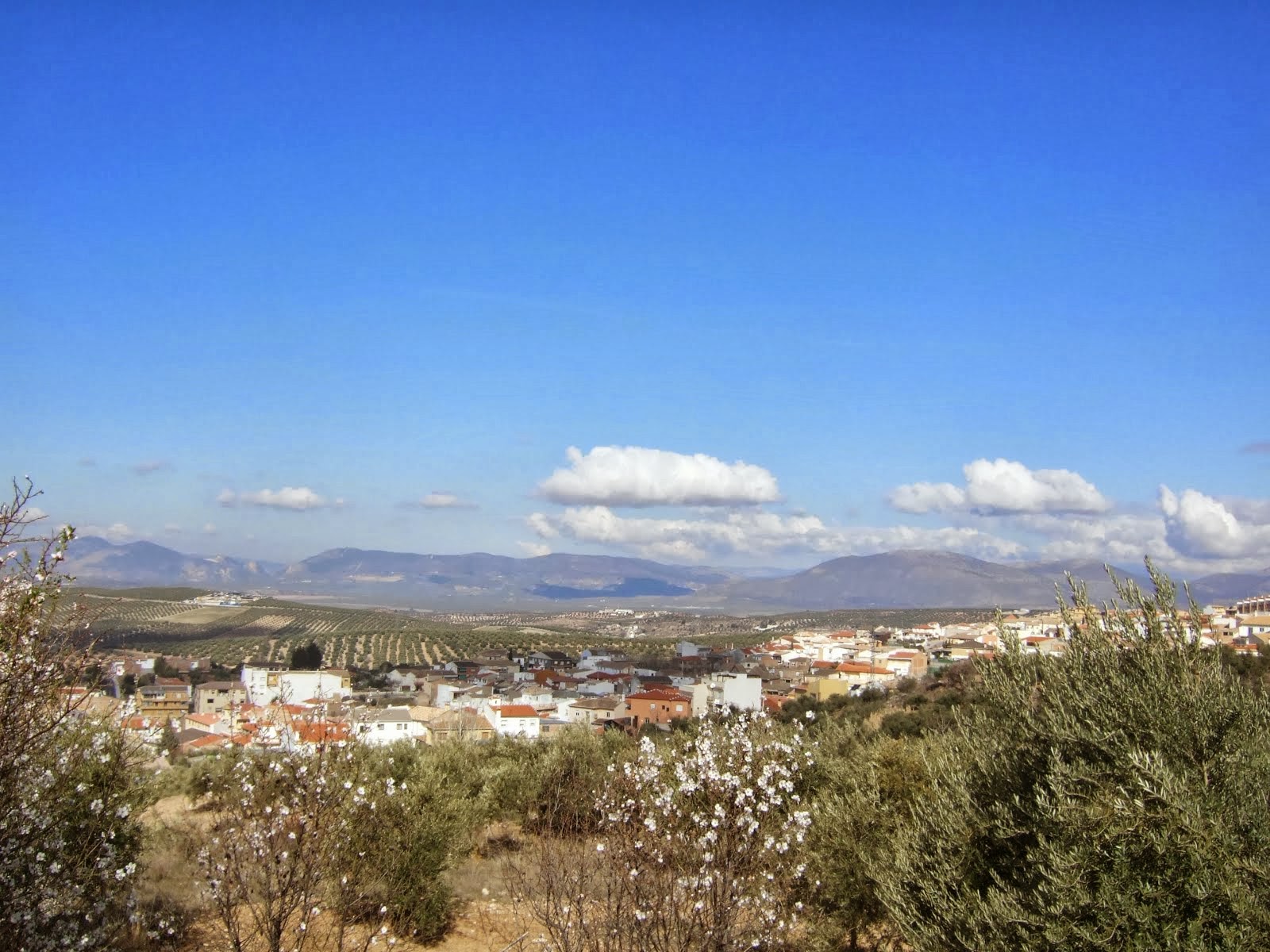 ALREDEDORES DE CASA RURAL GRANADA- GUEVEJAR