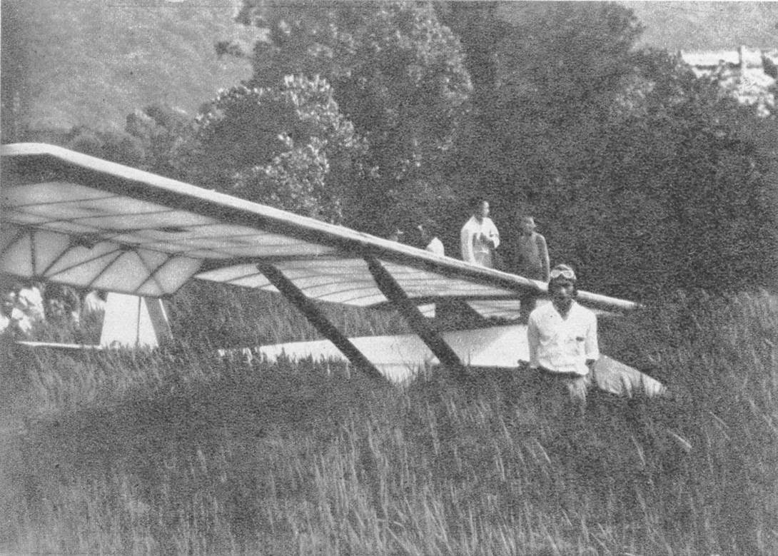 WildEagles Gliders KyuTe Model 5 Secondary Glider "Asogo"