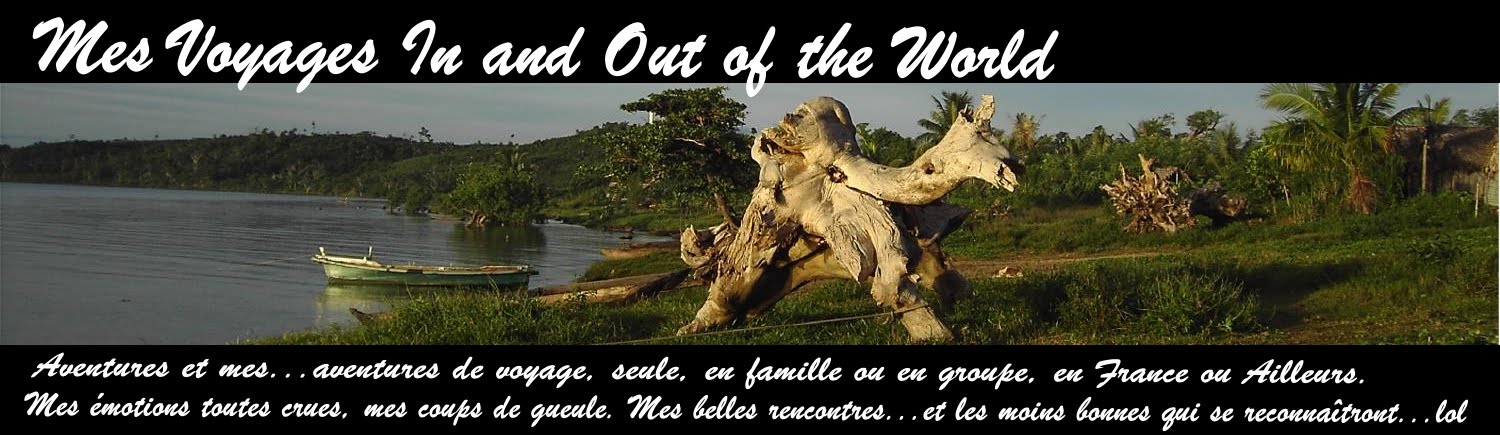         MES VOYAGES IN ET OUT OF THE WORLD
