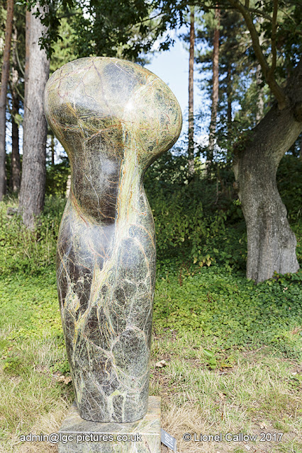 Emerald Veined Torso Made from Indian Marble sculpture with a beautiful textures and colours