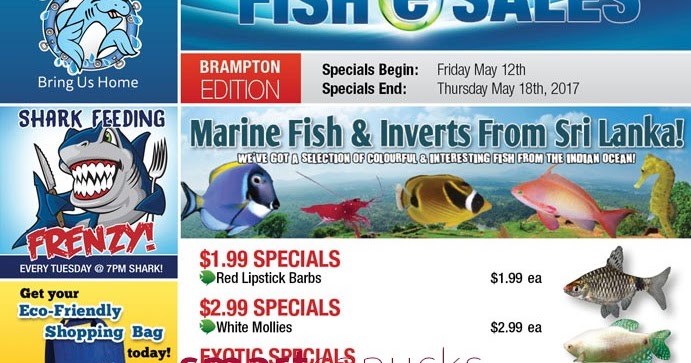 No Frills Cat Food Price No Frills Cat Food Price