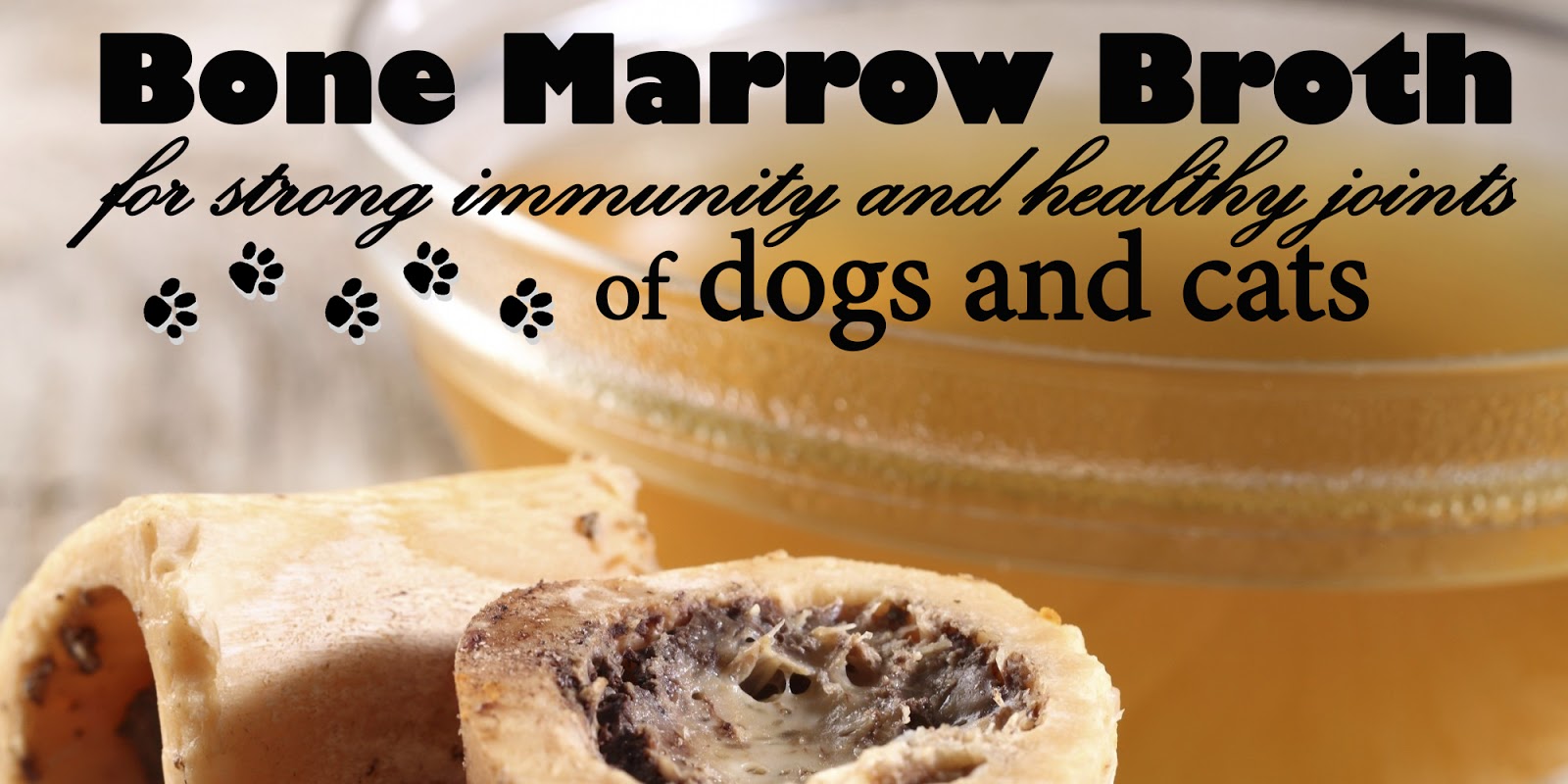 Katerina's Journal Bone Marrow Broth For Your Dog and Cat´s Great Health