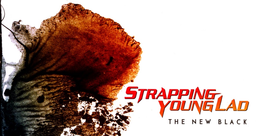 Strapping Young Lad The New Black (2006) Mediasurfer.ch