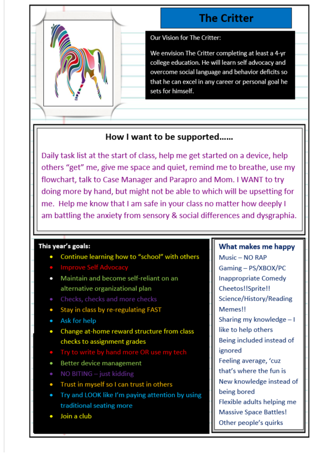 TerrorSpEdMom Adventures in Extreme Parenting: Person-Centered Profile