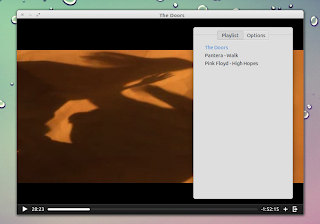 audience media player