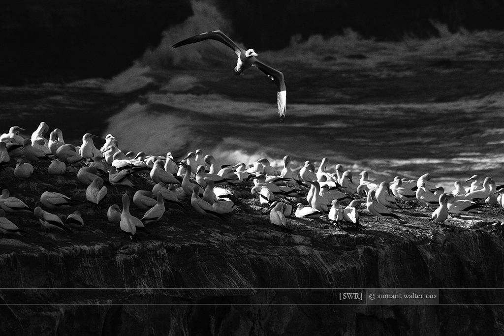 Sumant Walter Rao Photography: 2012