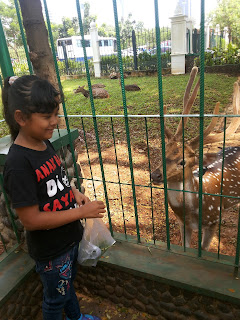 Liburan si Putri Liburan si Putri. Cerita Liburan ke Jakarta. Pusat Primata Terbesar di Jakarta