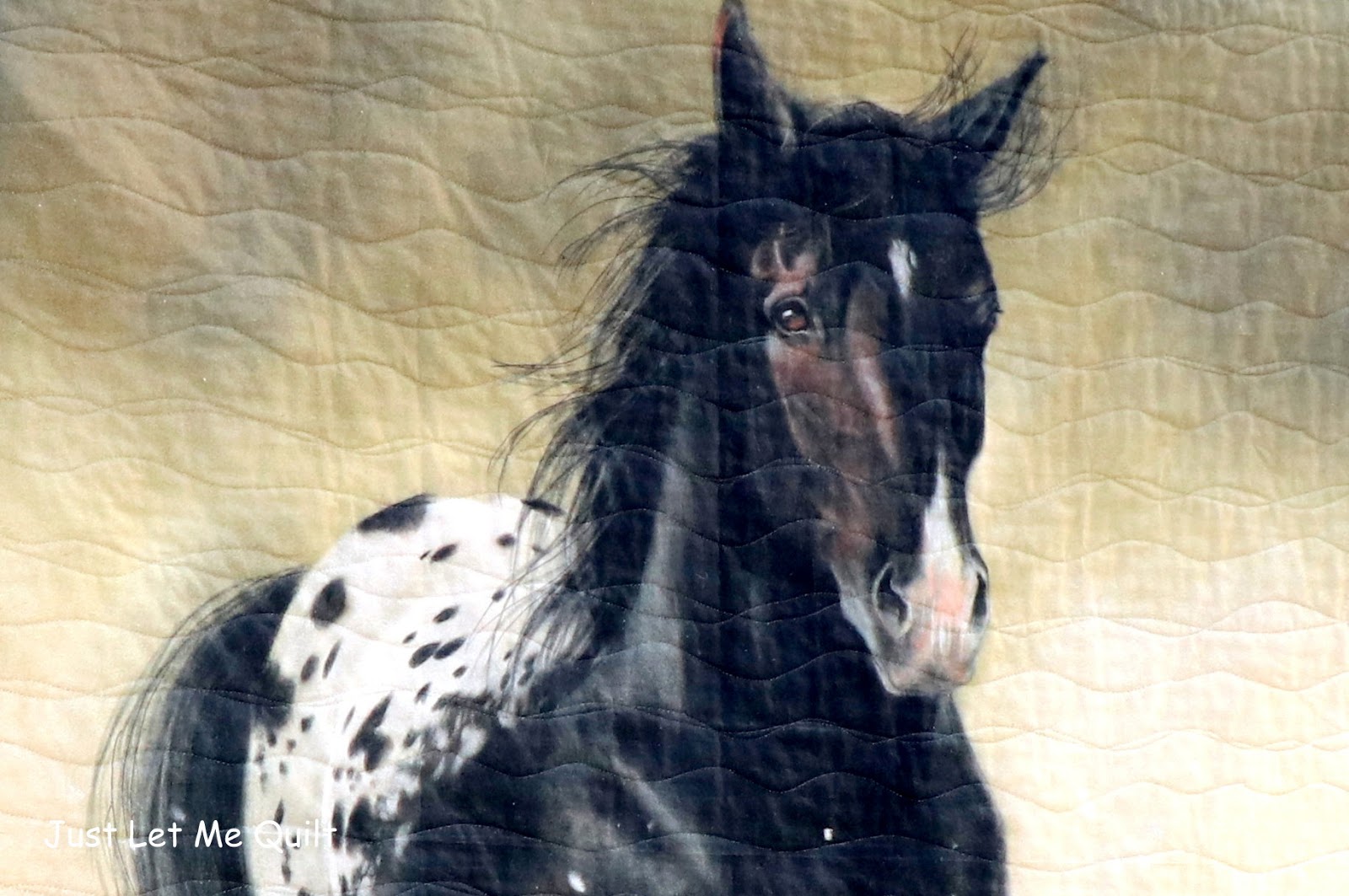 Just Let Me Quilt Riley Blake Designs Back In The Saddle Blog Tour