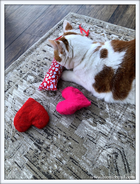 Catnip Hearts and Kicker Toy - Crafting with Cats ©BionicBasil® Valentine's Special 2019