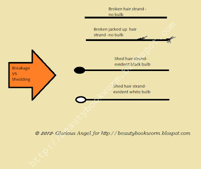 Beauty Bookworm How To Know If Your Hair Is Breaking Or Shedding