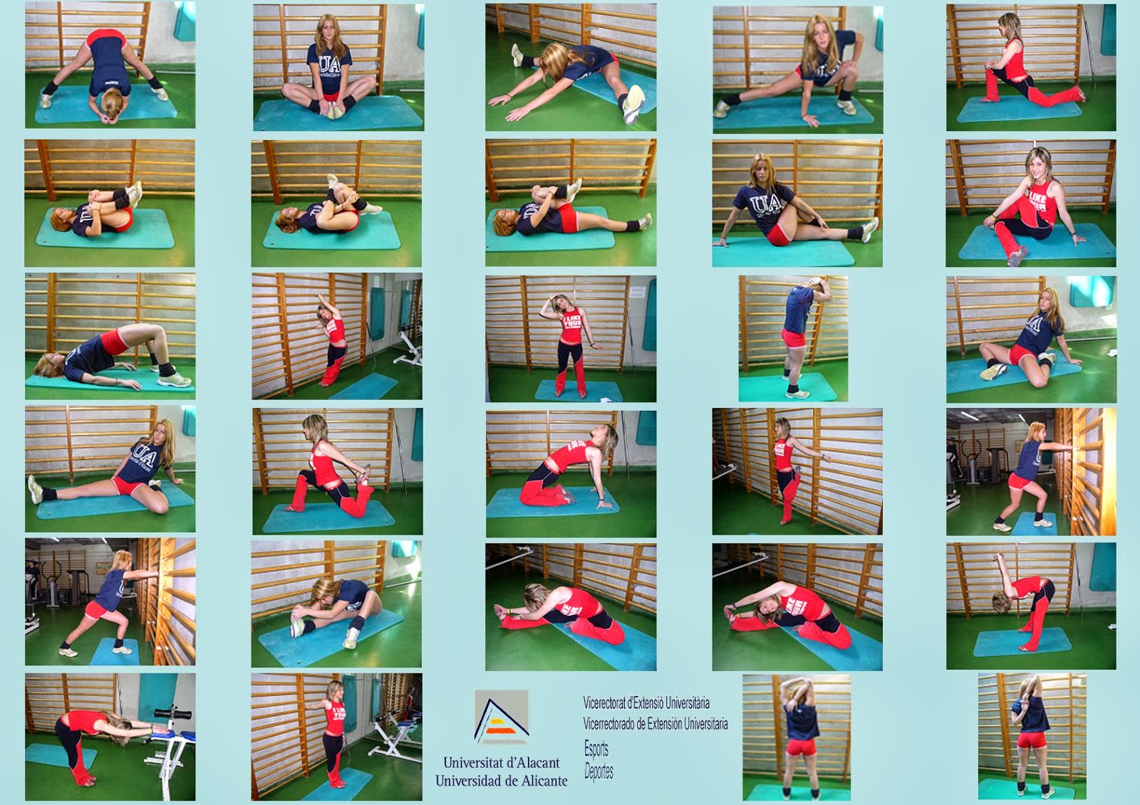 Ejemplos De Flexibilidad En Educacion Fisica recursosparaeldeporte.blogspot.com