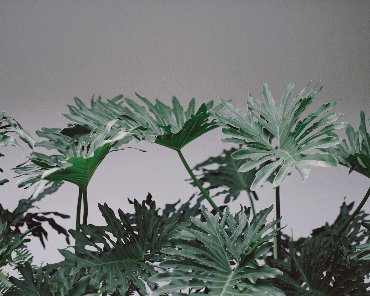 180 COFFEE AND MUSIC - BANDUNG (SHORT REVIEW & OVERVIEW ...