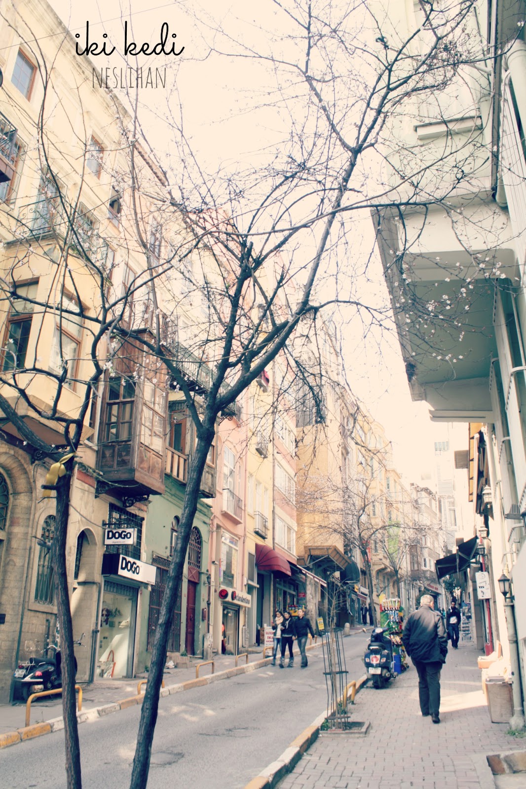 Neslihan çağlı Mart 2013