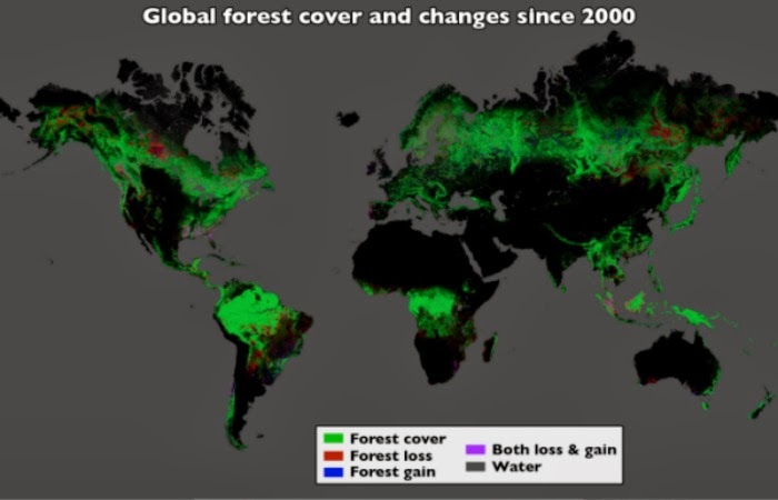 ATLAS OF THE DESFORESTATION IN THE FOREST