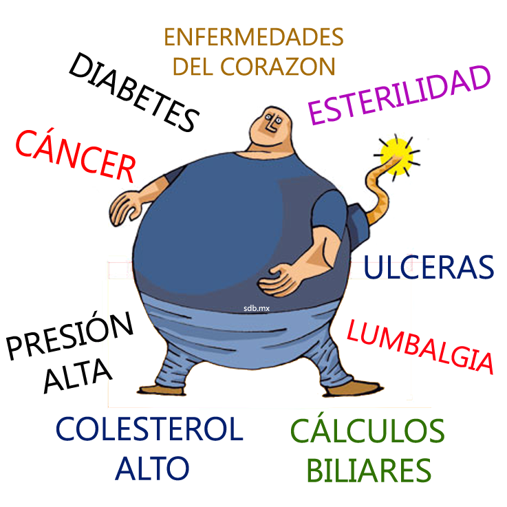 Enfermedades relacionadas con la alimentacion y nutricion
