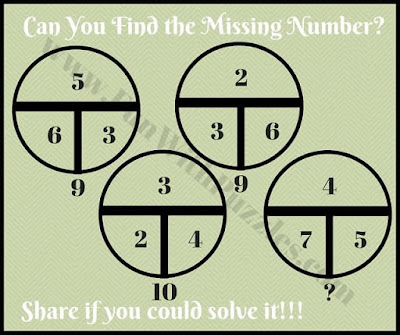 Math Circle Picture Puzzle for Teens
