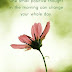 Top 10 Good Morning Thought Images, Greetings, Pictures for Whatsapp-bestwishespics