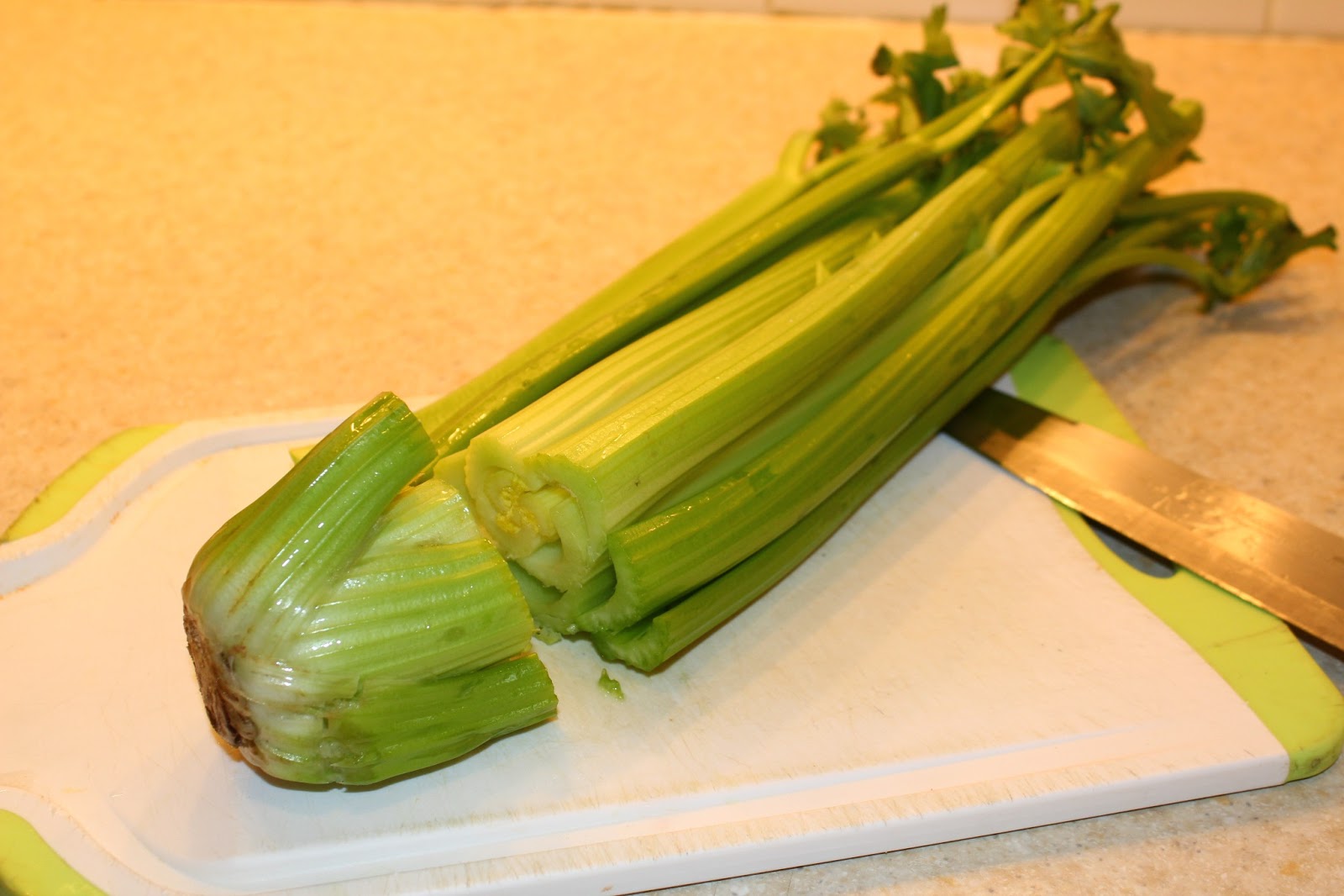 Seeking Simple in the Suburbs How to Regrow Celery