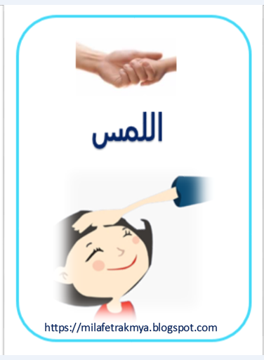 Epingle Sur جسم الانسان والحواس