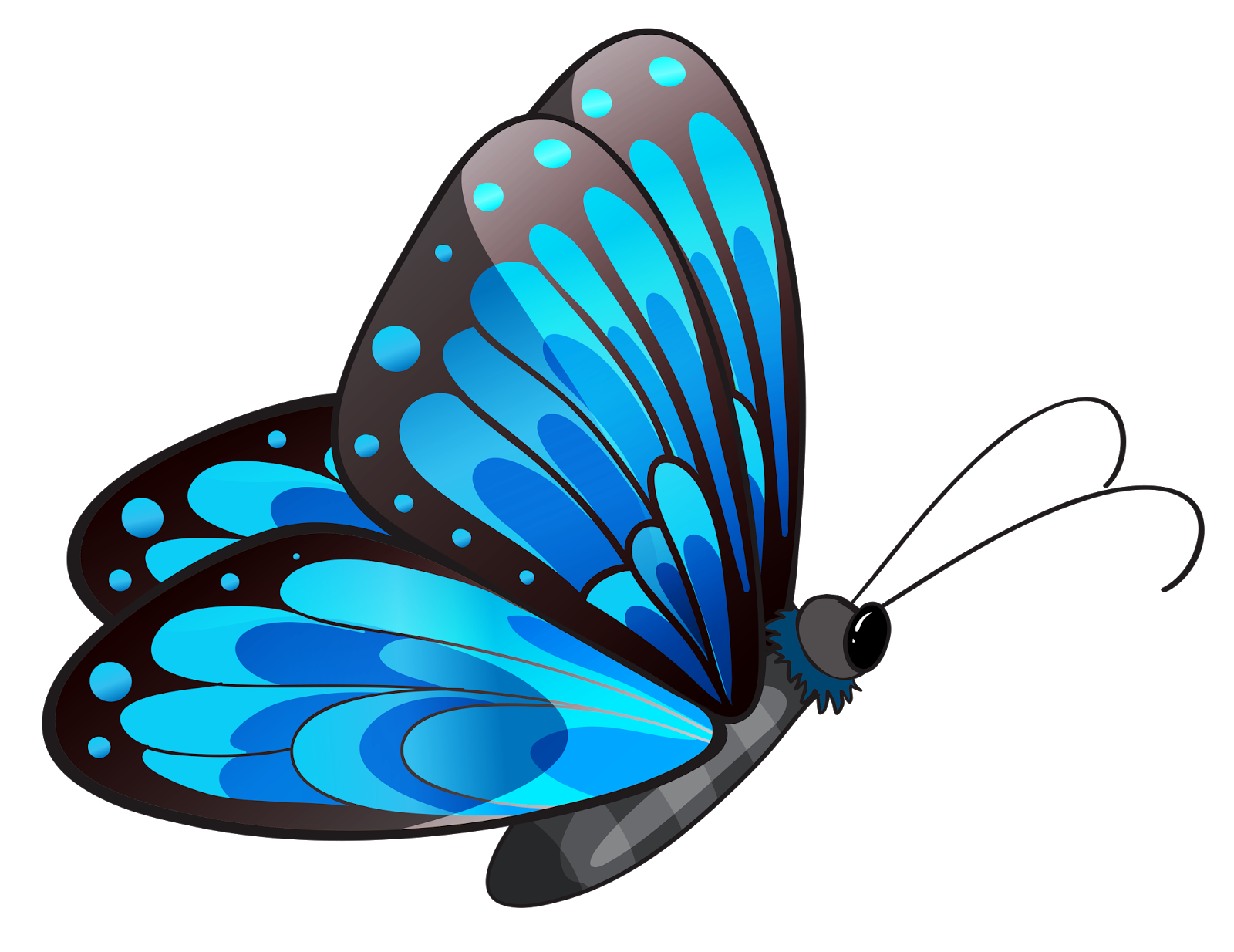 Бабочка Morpho Amathonte. Бабачкина прозрачном фоне. Бабочки клипарт. Бабочка для детей на прозрачном фоне.