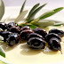 Olive (Zaitoon) Health Benefits Uses & Cures in Holy Quran & Ahadith