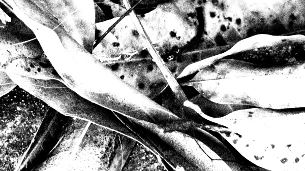 OV3 Art Filter Effect - Grainy Film OV3 Art Filter Effect - Grainy Film