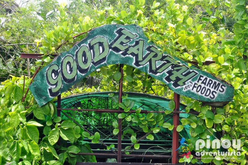 Garden Restaurant Tarlac City Garden Restaurant Tarlac City