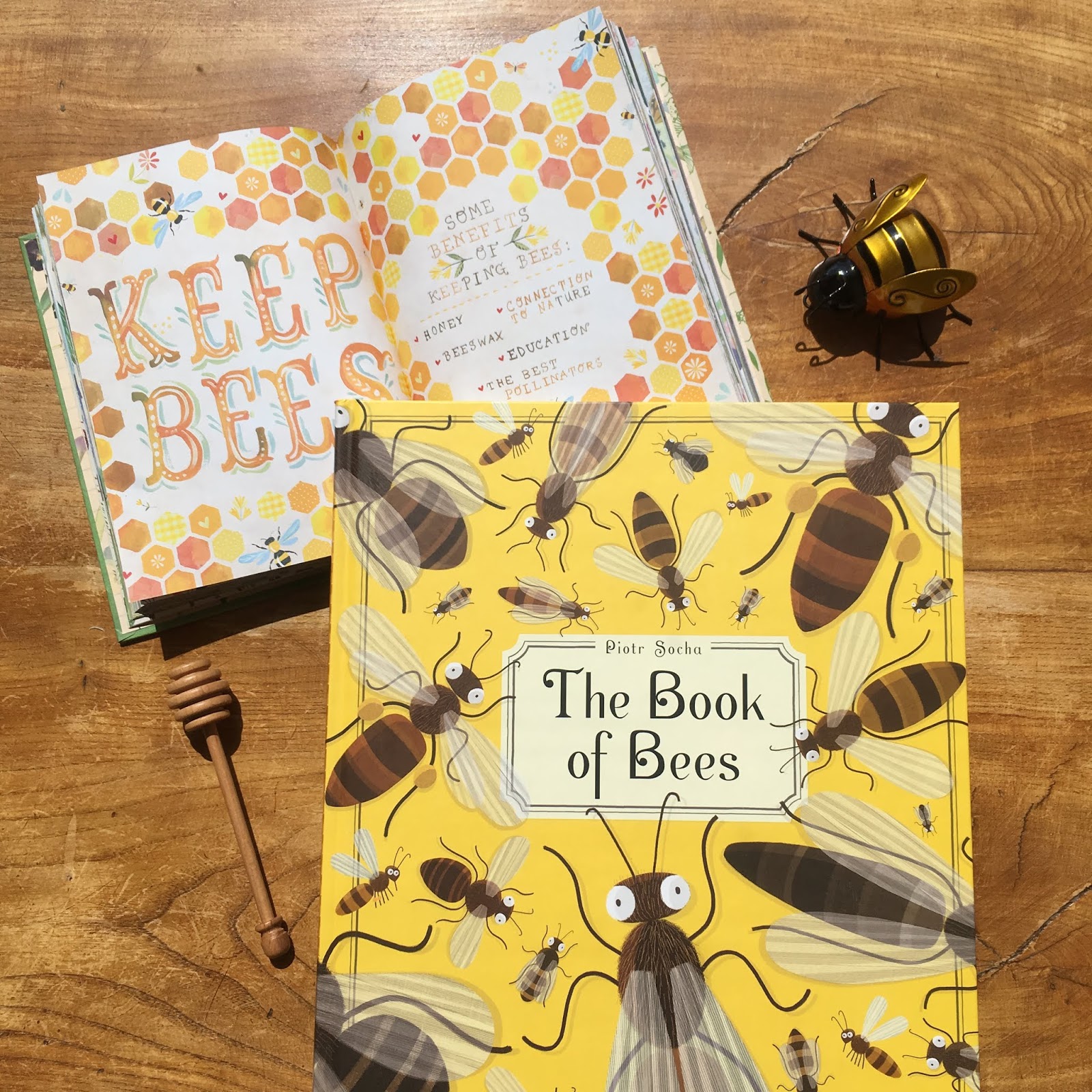 The Ultimate List of Books About Bees BookBairn