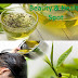Green Tea for Hair, How to Use Green Tea for Hair, How Does Green Tea Reduce Hair Loss
