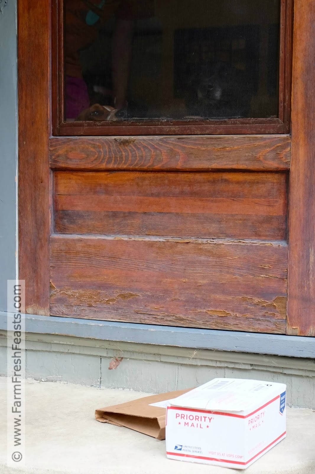 Farm Fresh Feasts Jujube Butter Oatmeal Bars