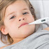 टाइफाइट बुखार के घरेलु उपचार - Herbal Home Remedies For Typhoid Fever.