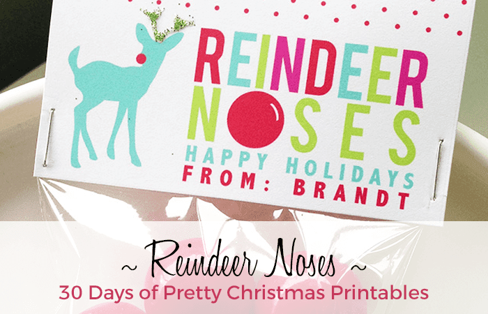 Reindeer Noses - Extremely Xmas Printables Quality Onederful photo about Reindeer Noses Printable identify Reindeer Noses - Really Xmas Printables Quality Onederful