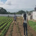 Cemitério era usado para plantio de amendoim em Sergipe