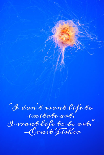 life is art jellyfish