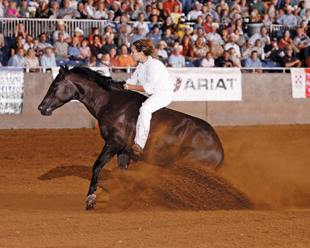 Shame in the Horse Show Ring Tie me up, tie me down