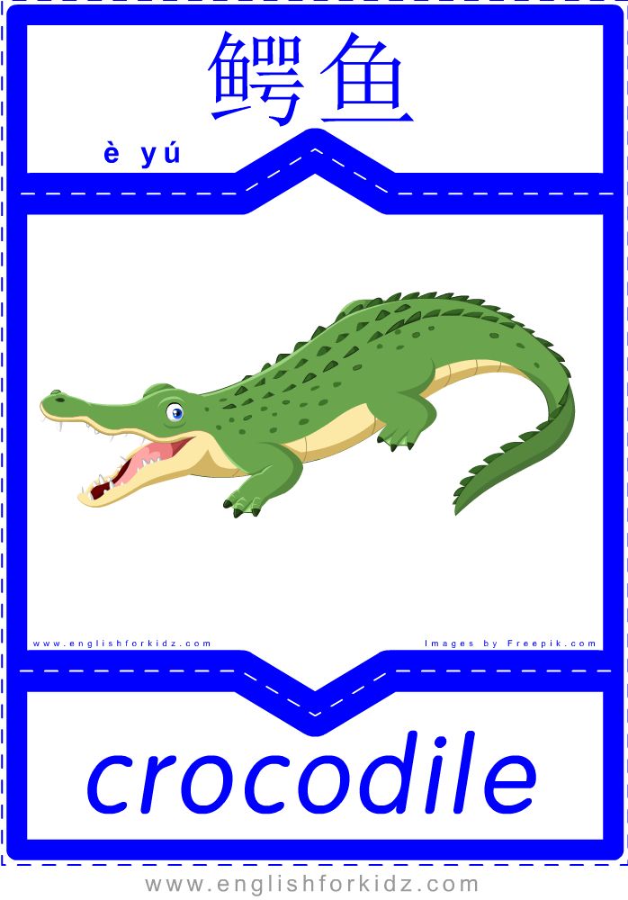 Crocodile карточка для детей. Ребус на английском про крокодила. Буква к крокодил. Крокодил на английском с транскрипцией. Игра крокодил на английском.