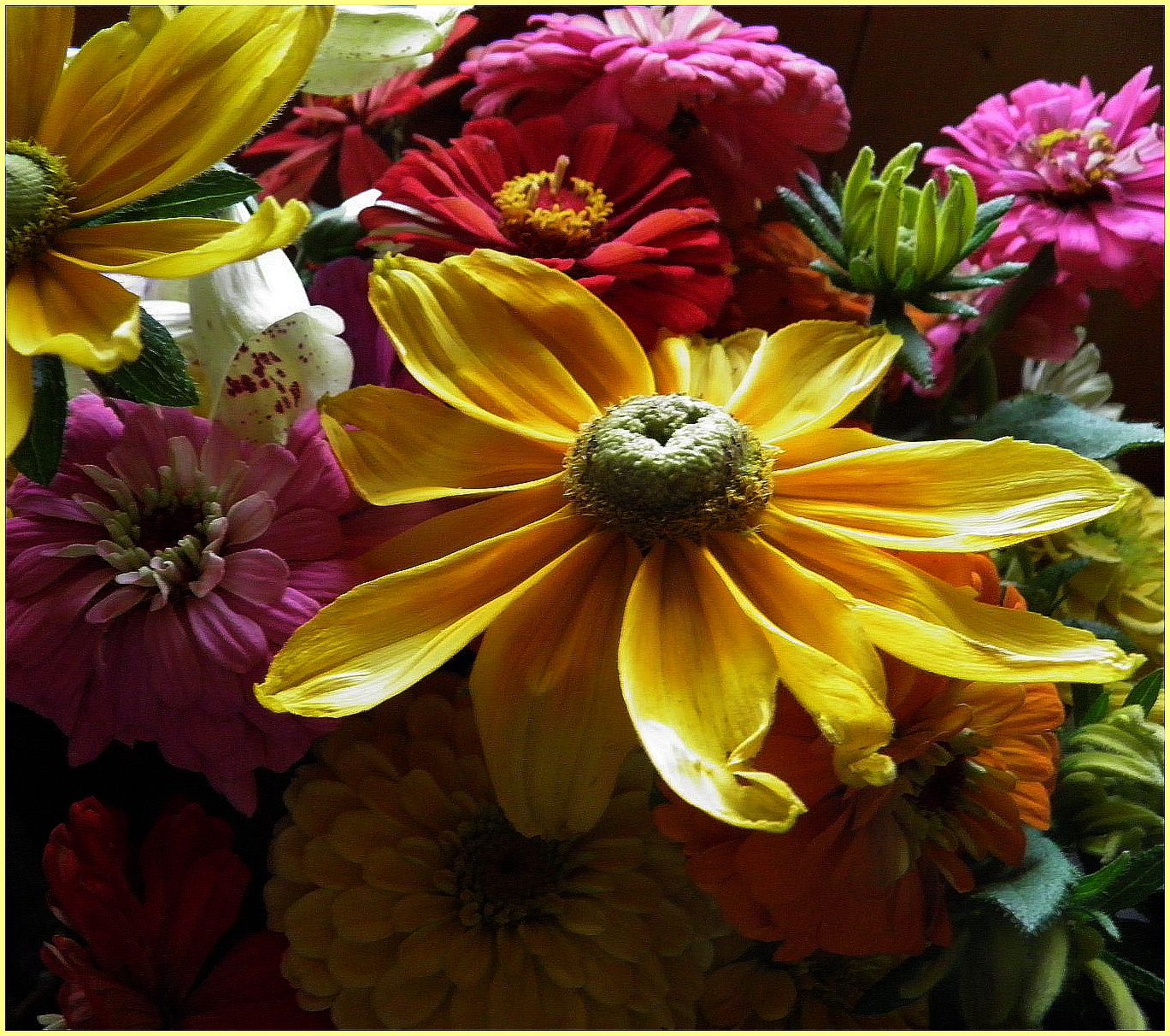 The Vermont Gardener Vermont Flower Show