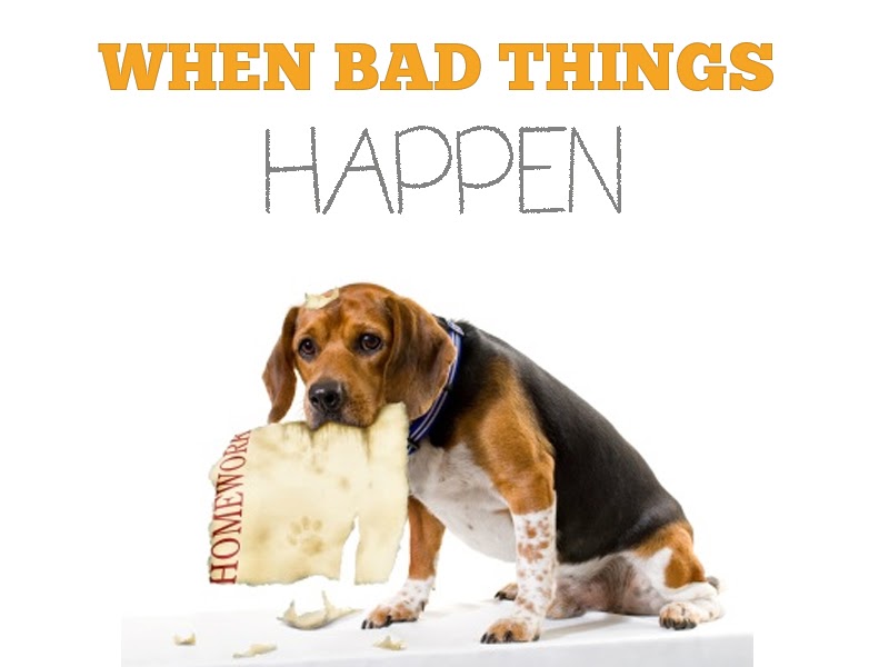 When bad. Непослушная собака. Андроид like a pizza постер. Go to the dogs. How собака.