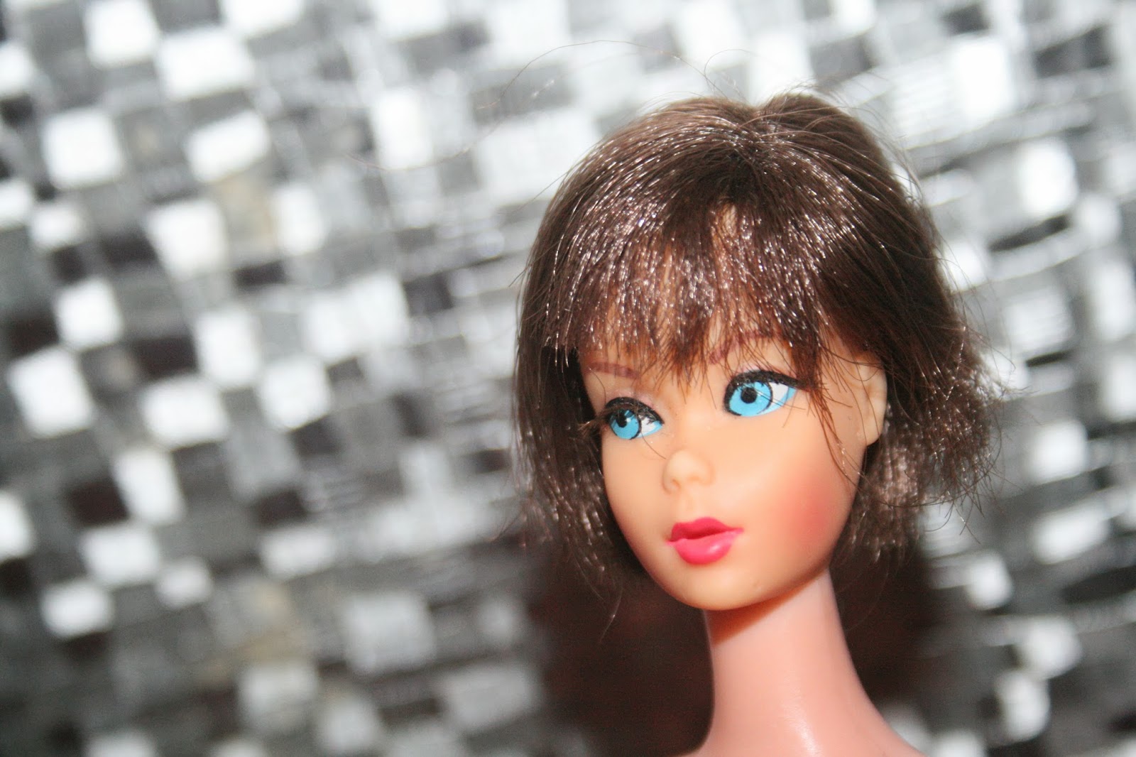 Planet Of The Dolls Doll A Day 29 Brunette Hair Fair Barbie